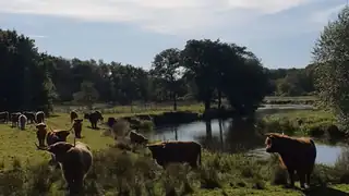 ÅRSMØDE DN VARDE - Nørholm Vildmark