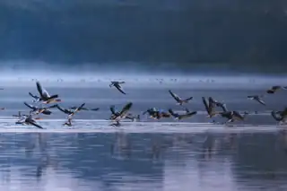 Tour de Naturpark Nordals - Bird Watching at Mjels Lake