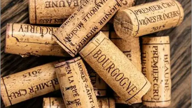 Wine Tasting - Friday, October 9 - 8 Wines - 299 kr. · Bjert Gamle Brugs, Sønder Bjert