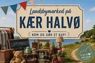 Flohmarkt auf Kær Halvø
