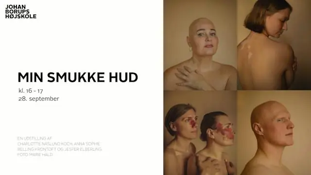 Finissage: My Beautiful Skin · Johan Borups Højskole, Copenhagen