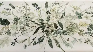 Kunsttryk, Planteindsamling & Herbarium