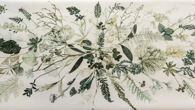 Art Printing, Plant Collection & Herbarium · Kunstbygningen I Vrå - Engelundsamlingen, Vrå
