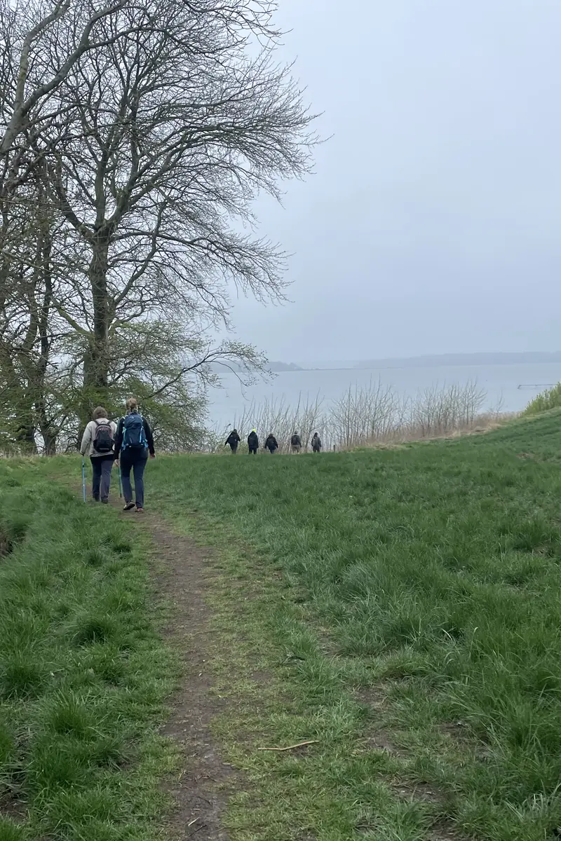 ✨ Gåtur på 7 km. ved skønne Lillebælt efterfulgt af stående energi, stræk, åndedræt og balance øvelser · Søbadet i Middelfart, Middelfart