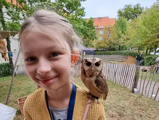 Owl Show (Grades 0-10)