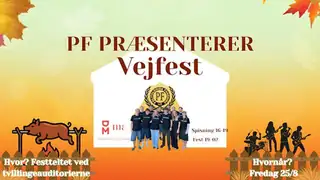 Vejfest x pattegris