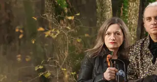 MetaVivaldi