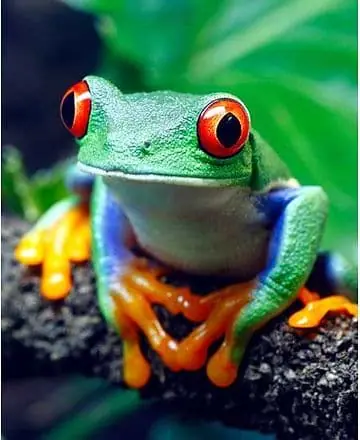 Nature-Rich Costa Rica · Risskov Rejser, Copenhagen