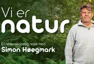 Simon Høegmark