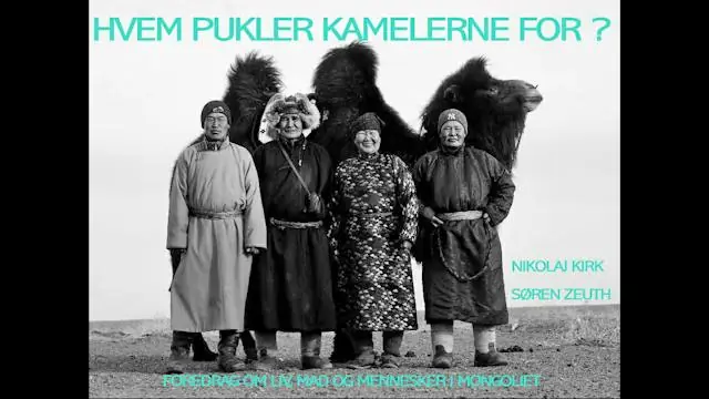 Who Tends the Camels? · Valby Kino, Copenhagen
