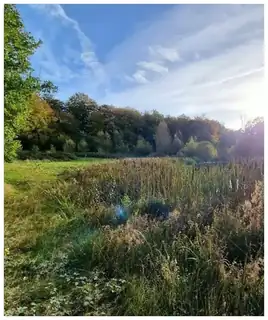 Nature Conservation at Staals Mose