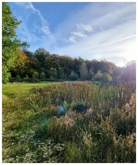 Nature Conservation at Staals Mose · Sønderborg
