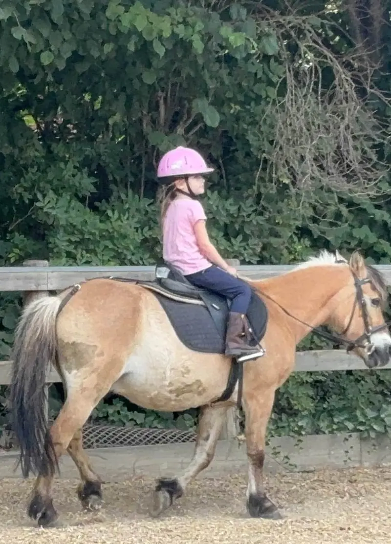 Ridning hos Tattersall/Jægersborg 12.+13.oktober 2026 (fra 1. klasse og opefter) — Tattersall Pony Rideklub, Gentofte