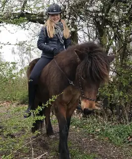 Riding Icelandic Horses at Ordrupdal Rideklub - Pyttur 12-13 October (Grades 1-4)