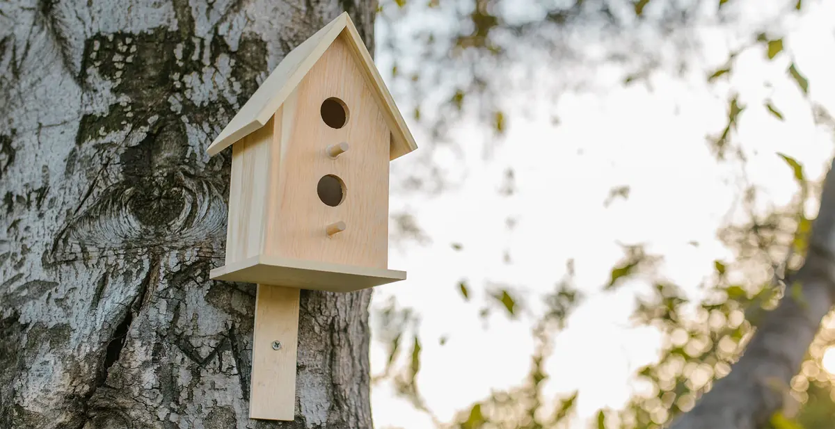 Build birdhouses - autumn holiday · Trekanten - Bibliotek og Kulturhus, Aalborg