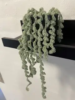The Workshop - Crocheted Plants