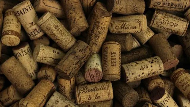 Wine Tasting: Meet the producer Hungermüller · Matching Grapes, Copenhagen
