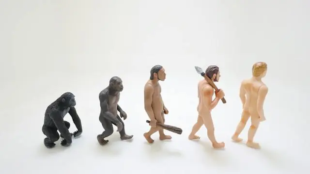 Evening Consultation: From Animal to Human · Medicinsk Museion, Copenhagen