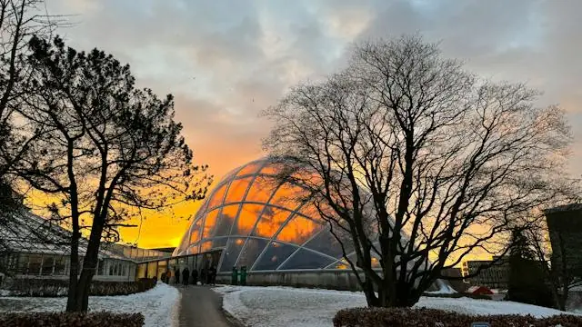 Christmas in the Greenhouses · Væksthusene i Botanisk Have, Aarhus