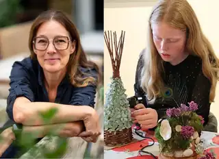 Skovalfernes magiske verden
