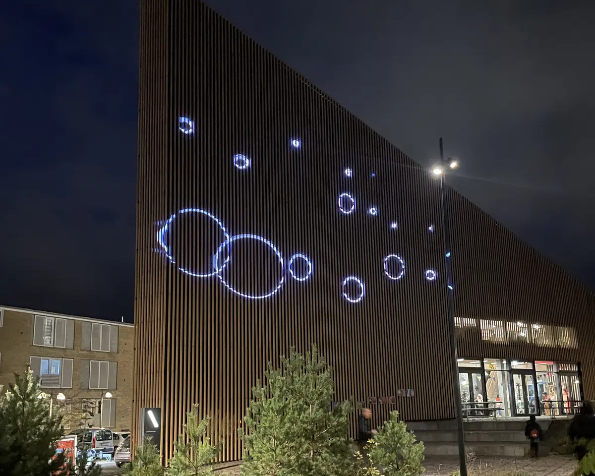 Culture Evening · Tingbjerg Bibliotek\Kulturhus, Copenhagen