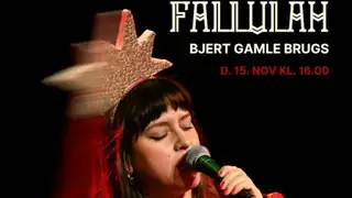 Fallulah Christmas Concert