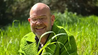 From International Trendsetter to Olive Farmer