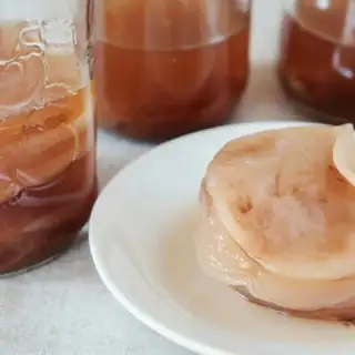 Learn to Make Your Own Kombucha