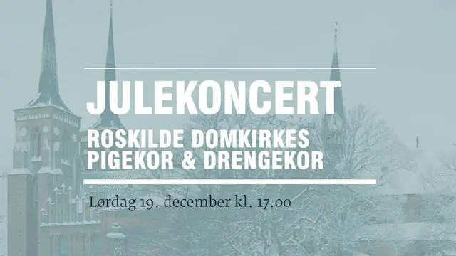 Christmas Concert // Girls' Choir & Boys' Choir · Roskilde Domkirke, Roskilde