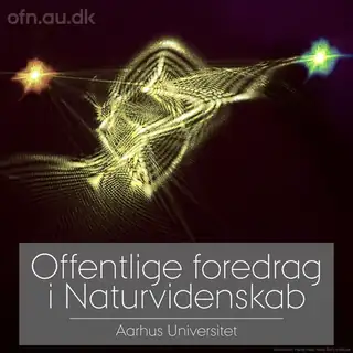 Kvantecomputeren