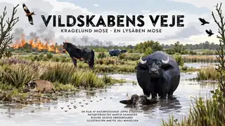 Vildskabens Veje - Nature Film from Kragelund Mose