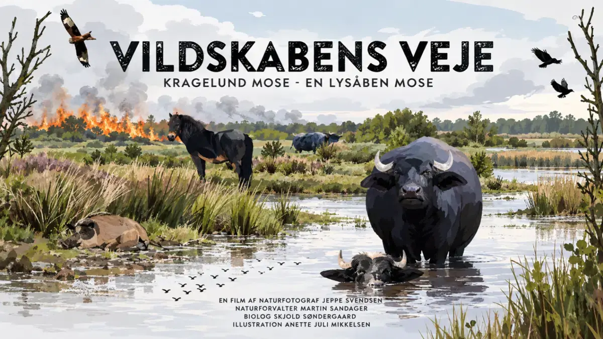 Vildskabens Veje - Nature Film from Kragelund Mose · Grindsted Kino, Grindsted