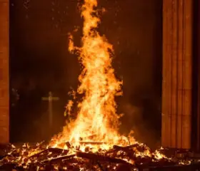 Aarhus Cathedral 825 Years | Cathedral Cinema | Notre-Dame in Flames · Aarhus Domkirke, Aarhus