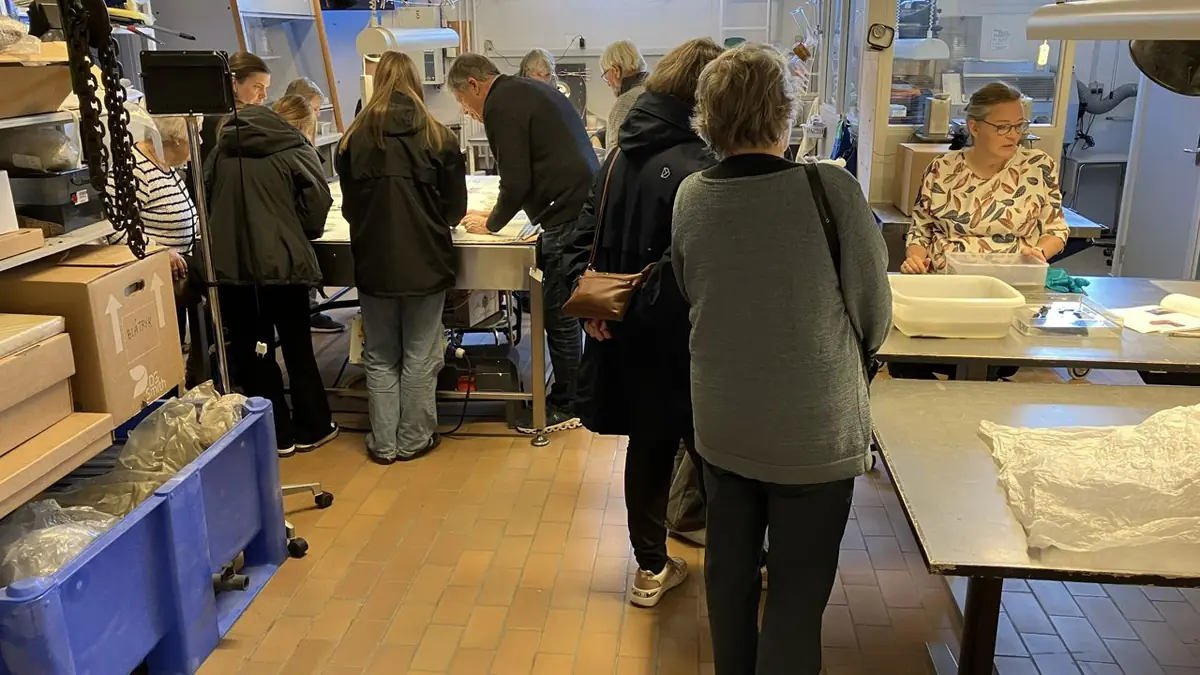 Open House in the Conservation Lab - What Happens in the Basement of the Culture House? · Museum Østjylland, Randers