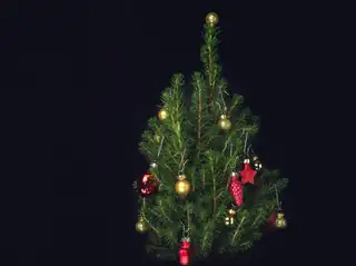 Juletræsfest