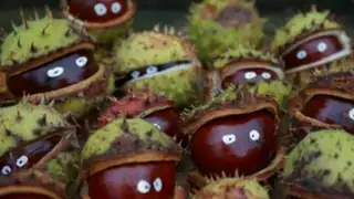 Chestnut Creatures & Cocoa at Bellis