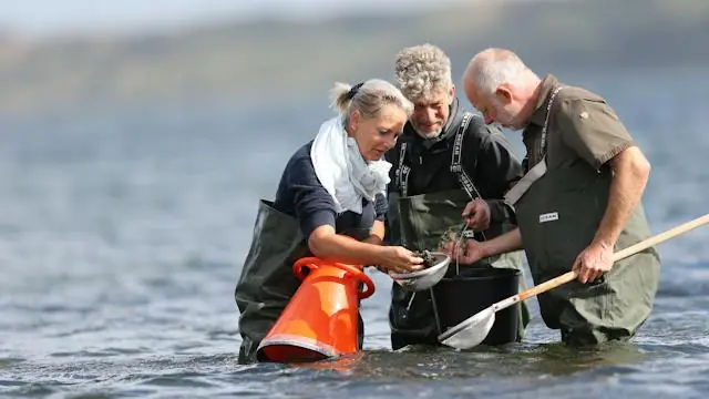Oyster Safari in Limfjorden · P-plads, Oddesund, Oddesund Nord