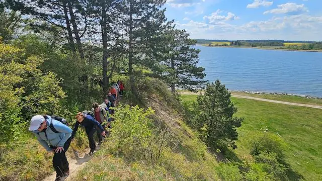 Friday Hike: Walking Tour at Selsø, 18 km · Parkeringspladsen ved Selsø Møllekrog, Skibby