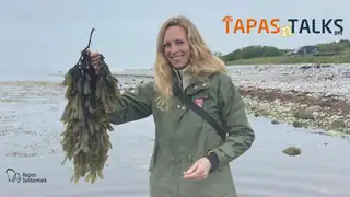 TAPAS'n'TALKS: Taste the Sea