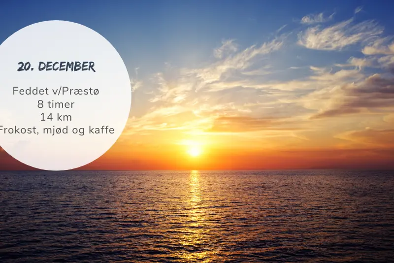 Winter Solstice - Celebrating the Return of Light · Feddet, Faxe