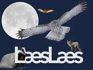 LæsLæs - Nattens dyr