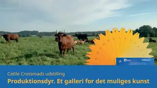 Продуктивные животные. Галерея искусства возможного