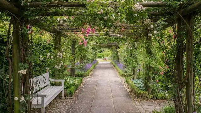 Threatened Plant Species in the Royal Agricultural University Garden · Hav a Java Væksthuset, Frederiksberg