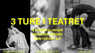 Three Plays at the Theatre