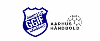 SPONSOR event: GGIF meets Aarhus Handball