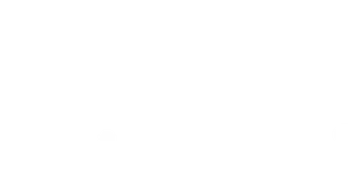 Skinz