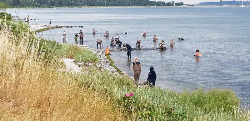 Seaweed Safari - Rørvig · Rørvig