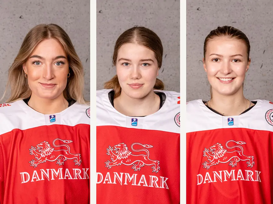 Get a unique insight into the life of a professional ice hockey player · Biblioteket i Herning, Herning