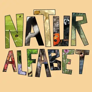 Naturalfabet Release Festival