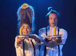 De tryllende violinister